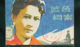 在线观看蓝色档案,一场惊心动魄的在线观看之旅